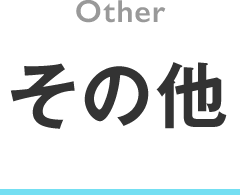 その他